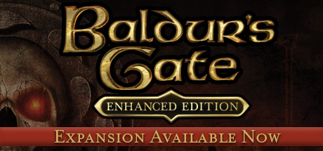 Download Baldur's Gate pc game