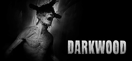 Download Darkwood pc game