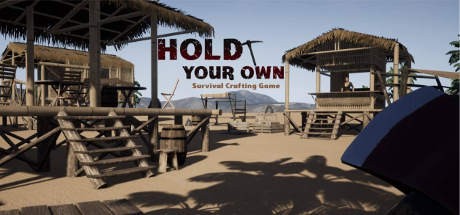 Download Hold Your Own pc game