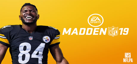 Download Madden NFL 19 pc game