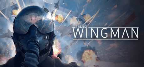 Download Project Wingman pc game