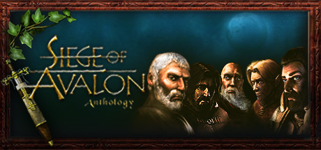 Download Siege of Avalon: Anthology pc game