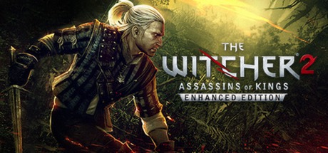 Download The Witcher 2 pc game