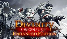 Download Divinity: Original Sin pc game for free torrent