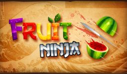 Download Fruit Ninja HD pc game for free torrent