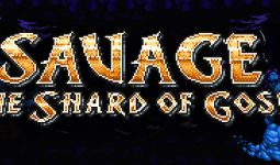 Download SAVAGE: The Shard of Gosen pc game for free torrent