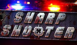 Download SharpShooter3D pc game for free torrent