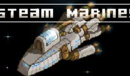 Download Steam Marines pc game for free torrent