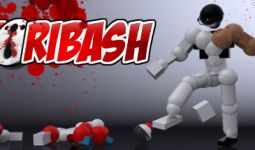 Download Toribash pc game for free torrent