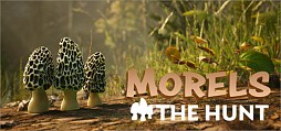 Morels: The Hunt