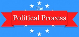 The Political Process